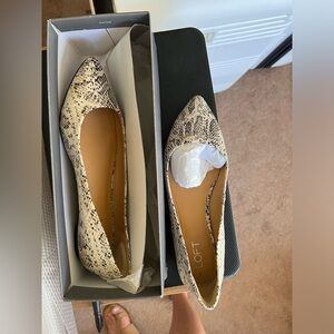 Adorable snakeskin pointed toe flats. Perfect for Summer!